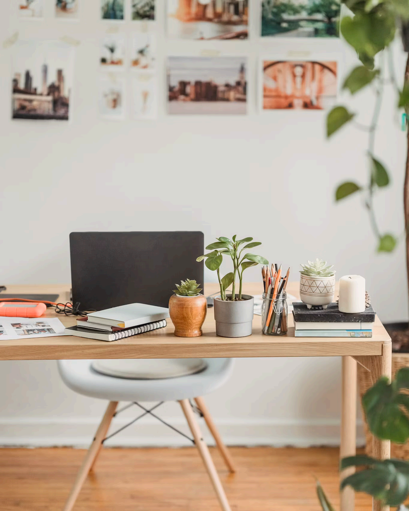 A calm, organized home office desk with laptop, plants, and books